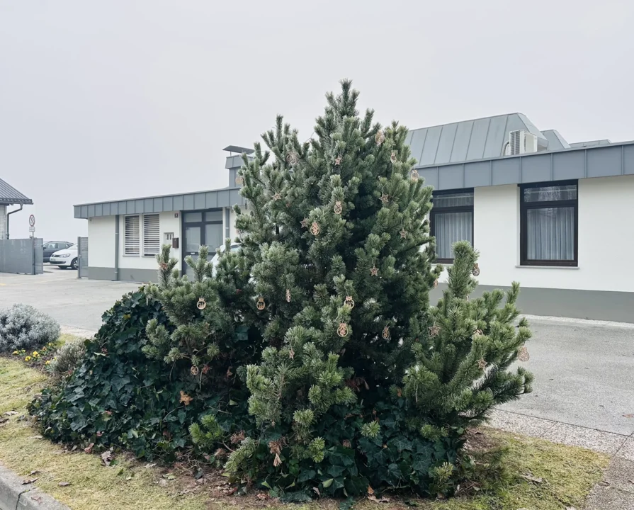 Drevo hvaležnosti na Mestnem pokopališču Kranj