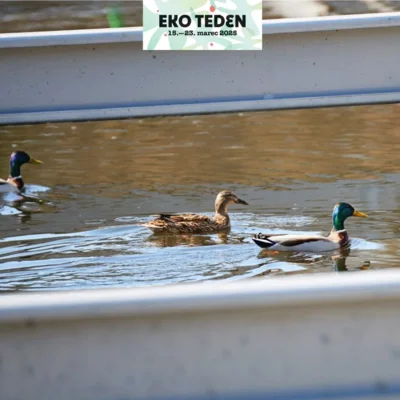 Eko teden: Voden ogled CČN Kranj