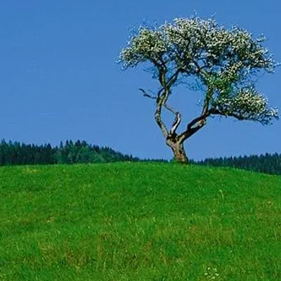 Voščilo Občini Jezersko