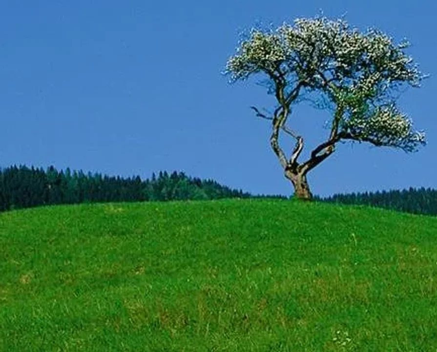 Voščilo občini Jezersko 2026