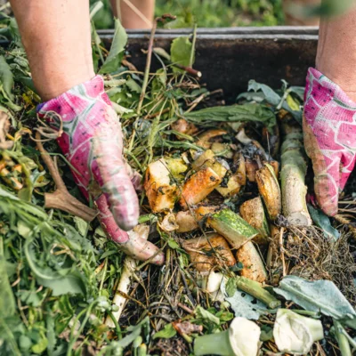 Ločujmo, reciklirajmo, kompostirajmo