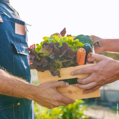 KRANJSKO – tržnica lokalnih dobrot ponovno v Kranju