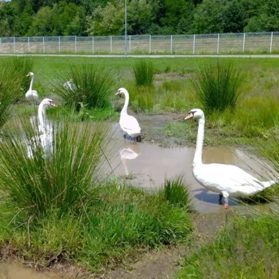 Svetovni dan mokrišč 2026