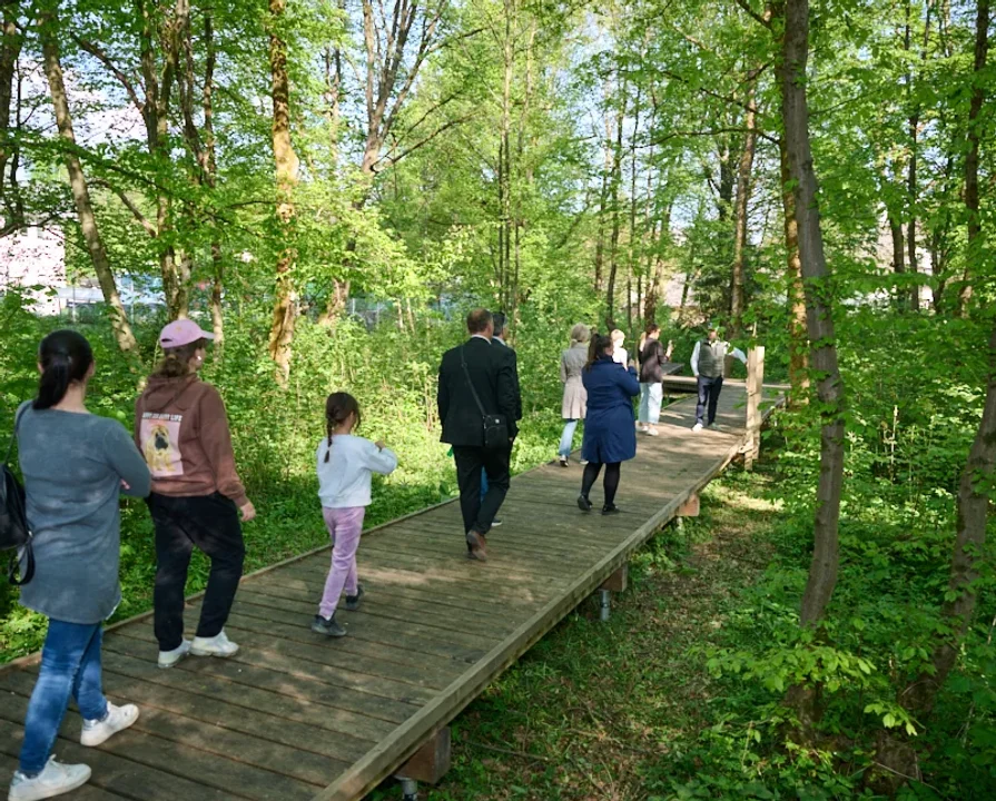 Odprta gozdna učilnica Drvolovka
