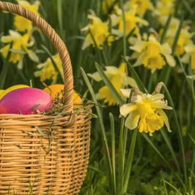 Velikonočno voščilo 2026