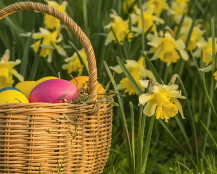 Velikonočno voščilo 2026