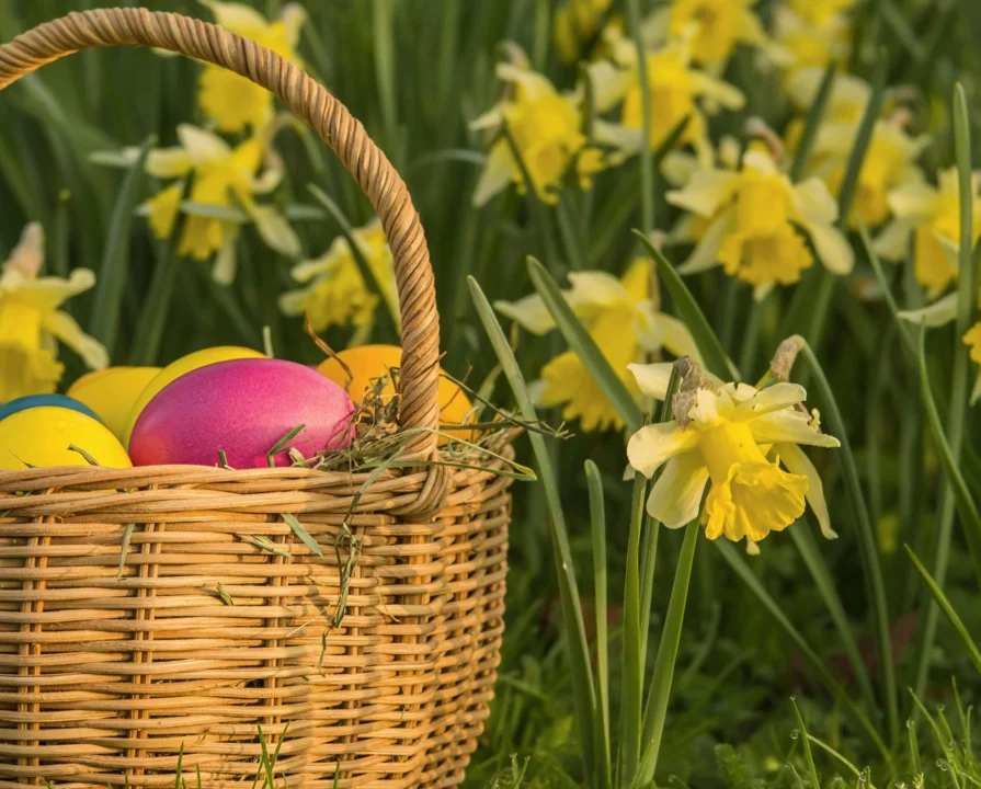 Velikonočno voščilo 2026