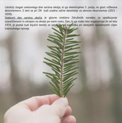 Svetovni dan varstva okolja - obnova ekosistemov