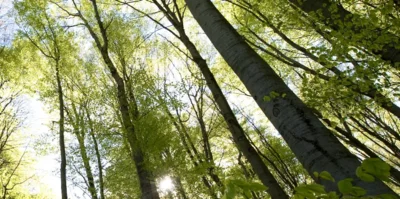 Mednarodni dan biotske raznovrstnosti