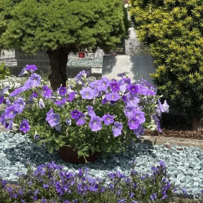 Trajnostne zasaditve grobov